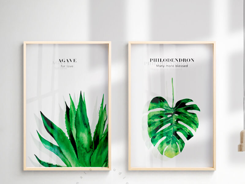 M/P Premium Glossy Photopaper 260