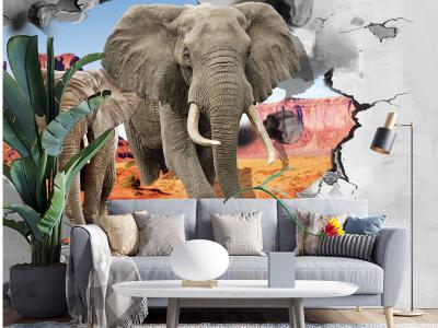 Wall decoration