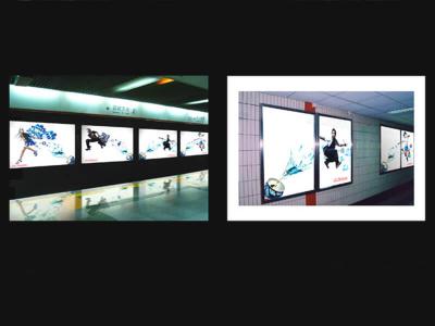 Super Tenacity Coated Backlit 
